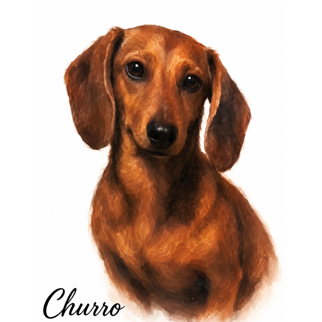 Convierto Tu Mascota En Arte